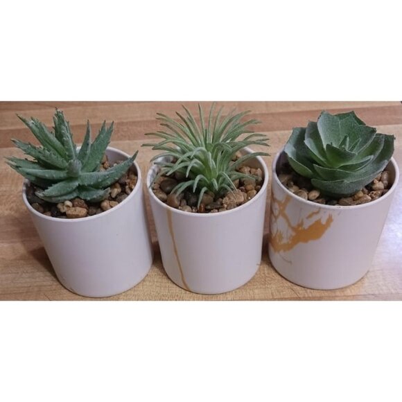 New Set of 6 Small Fake Plants Succulents for Home Office Desk Accessories - Picture 2 of 3